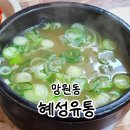 혜성유통 | 망원시장 혜성유통 또간집 찐맛집 한방 닭곰탕 후기