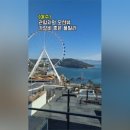 티라 061 이미지