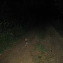 고동바위공원 이미지