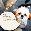 미소카페 - 포항시 북구 달전로 291 | 미소카페