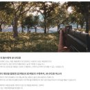 임기획 이미지