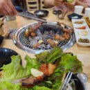 돼지한마리 이미지