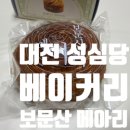 메아리 | 대전 성심당 보문산 메아리 후기