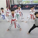 필승태권도 이미지