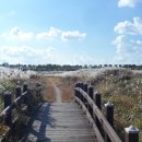 위례강변길 이미지