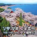 2025년 4월, 한국에서 꼭 가봐야 할 축제 Best 10 이미지