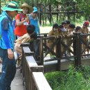 낙원유치원 이미지