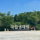 송이숲민박 이미지