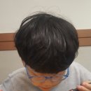 시아우545 이미지