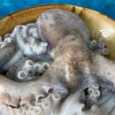 고잠2길 2 이미지