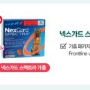 대신약국 이미지