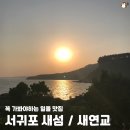 새섬리조트 | 새섬 새연교 주차장 제주 서귀포 일몰 포토스팟