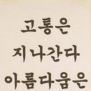 핑&핫바디