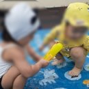 사랑과믿음어린이집 이미지