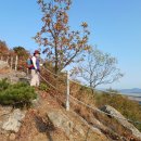 인천광역시 강화군 양사면주민자치센터 | 강화 봉천산 - 03) 봉천대에서 오층석탑으로 내려가는 길