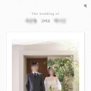 프롬투데이 모바일 청첩장 구매 후기(사진O, 자세히 알려드림, 타업체 비교O)