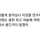 Re: 박쥐가 처음에 어떻게 생겼나 이미지