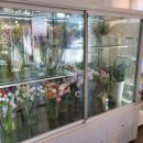 오비5길 이미지