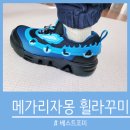 꾸미디자인 | 내돈내산ㅣ포켓몬 메가리자몽 휠라꾸미 라이트 운동화 후기