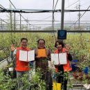 이현숙농장 이미지