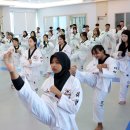 대영태권도장 이미지