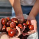 장사농장 이미지