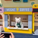 단양생태체육공원 1 이미지