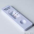 웰니스클리닉(청계천점) 네이버블로그
