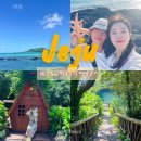 제주 필 하우스 | [제주여행] 2박3일 모녀 뚜벅이여행 기록 : 서쪽 협재에서의 힐링 코스🍃