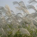 좋은날만 이미지