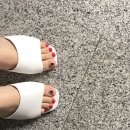 레비시