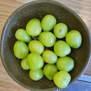 자연정가 양평해장국 임실점 | 임실 맛집 양평해장국 임실군정 뒷편 뼈다귀해장국및 소머리해장국 맛집