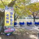 ㈜오케이그린청소년수련원 | 경주 화랑의언덕 : 여러가지 팁 (정확한 주소, 주차, 사진찍는곳) 캠핑클럽 촬영지로 소문난 핫한 명소
