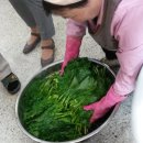 장아찌 담그는 법 실습 이미지