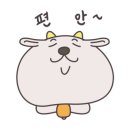 청정염소농장 이미지