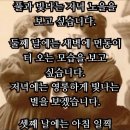 "홍집사의 잡다한 이야기"---(943) "청와대 국민 품으로" 이미지