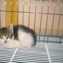 유진독서실 이미지