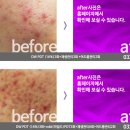 하얀미의원