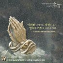 생명의 멜로디 이미지