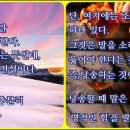 샬롬(Shalom) 이미지