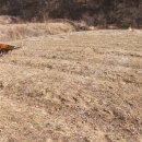 두꺼비농장 이미지