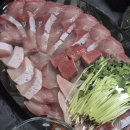 조아노래연습장 | 12월 정리