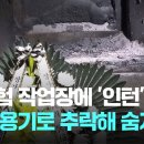 현대제철 사망사고 현직자 경험담 유튜브 댓글 이미지