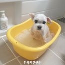 오 동물병원 이미지