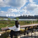 [시흥] &#34;안산농협 연꽃 지점 농협 카페&#34; 물왕저수지 뷰 가성비 루프탑 카페