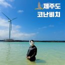 신기해변 | 제주도 스노쿨링 명소 추천 코난비치 코난해변 스노쿨링 주차 샤워 9월 물놀이