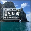 인더캠프 | 뉴질랜드 베이 오브 아일랜즈 홀인더락 투어 돌고래 후기