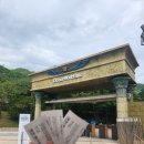 5월 주말 비 오는 날 비발디파크 오션월드 후기/빙봉산도네 월드투어 1탄