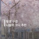 354-1-000050 | 벚꽃 보러 가는 코디