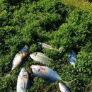 (주)파노스 이미지